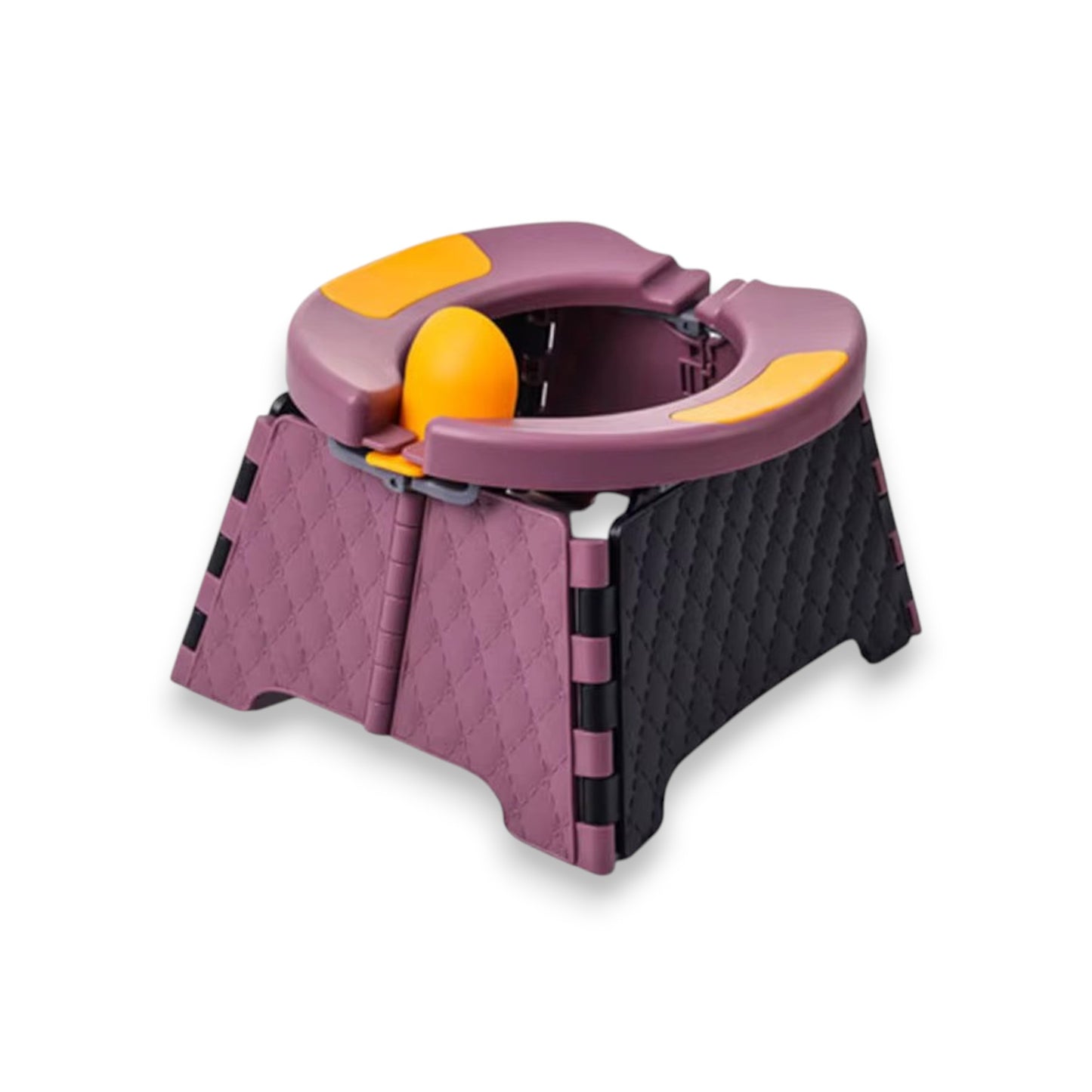 Portable Potty Seat