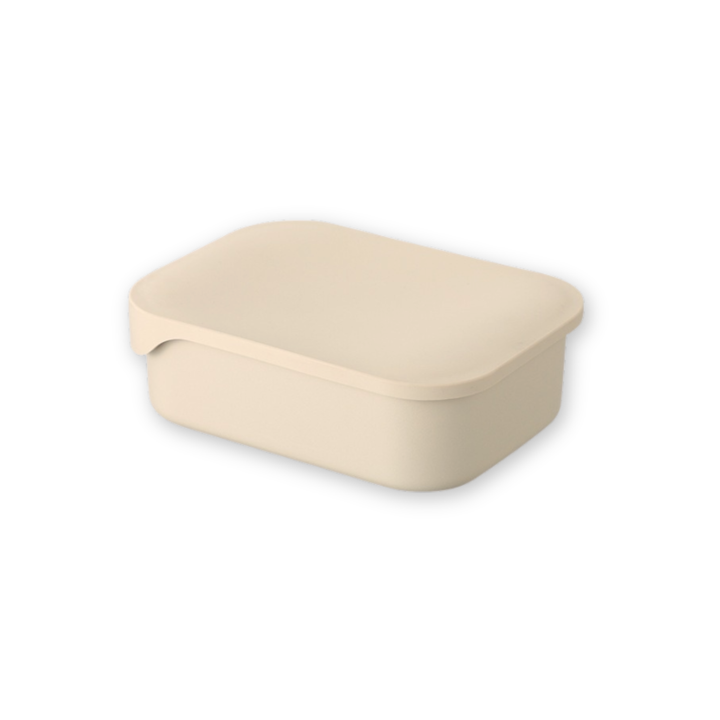 Stainless Lunchbox
