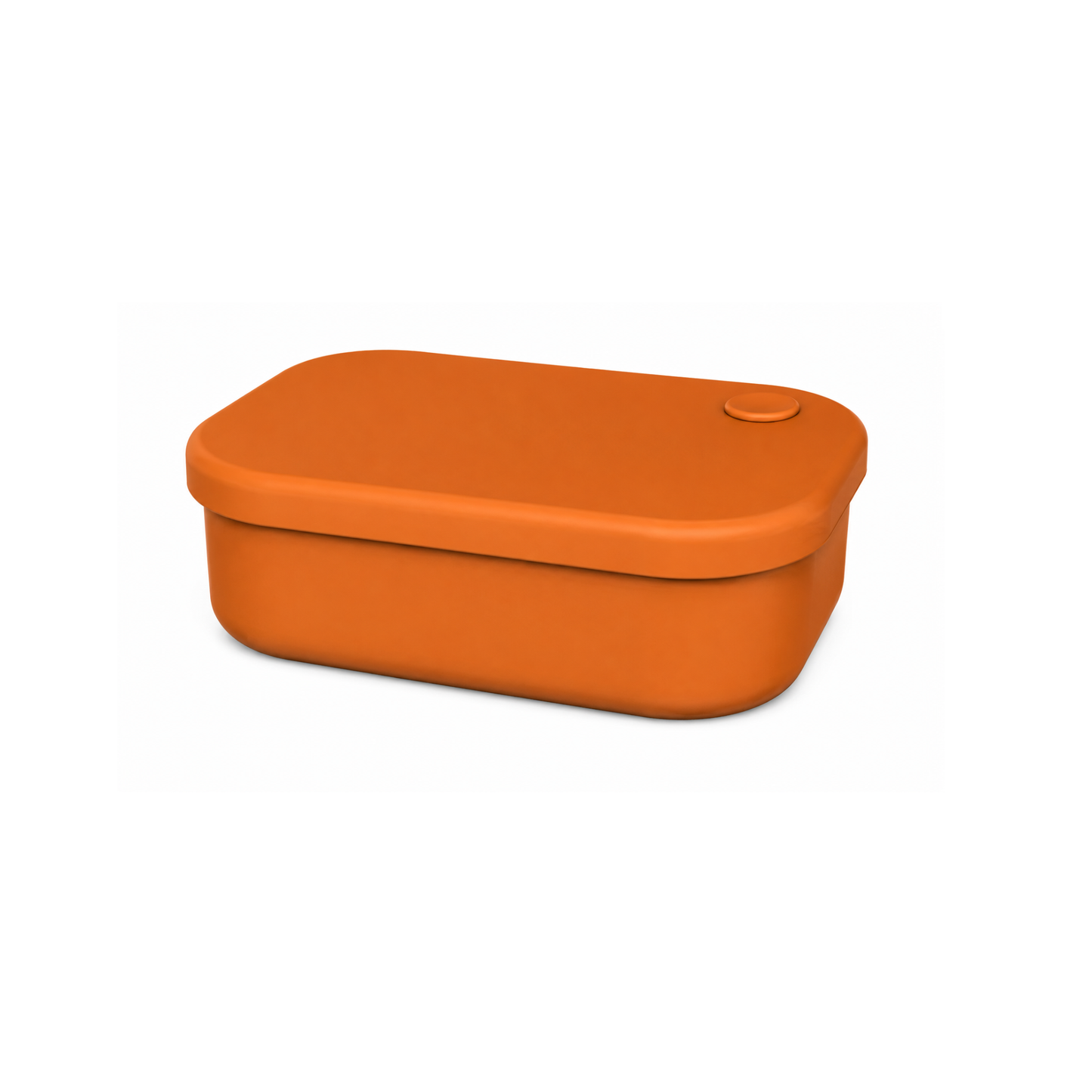Silicone Lunchbox