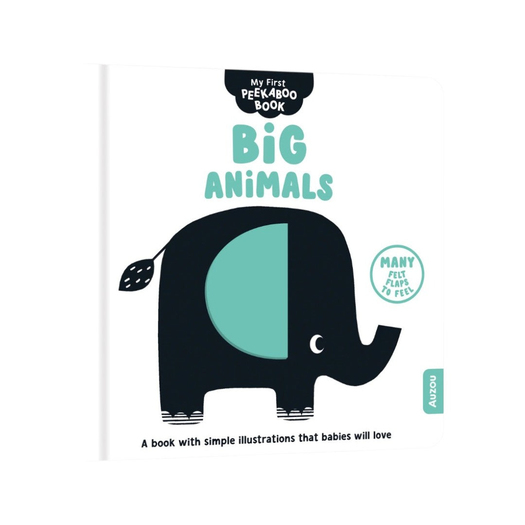 My First Peekaboo Book